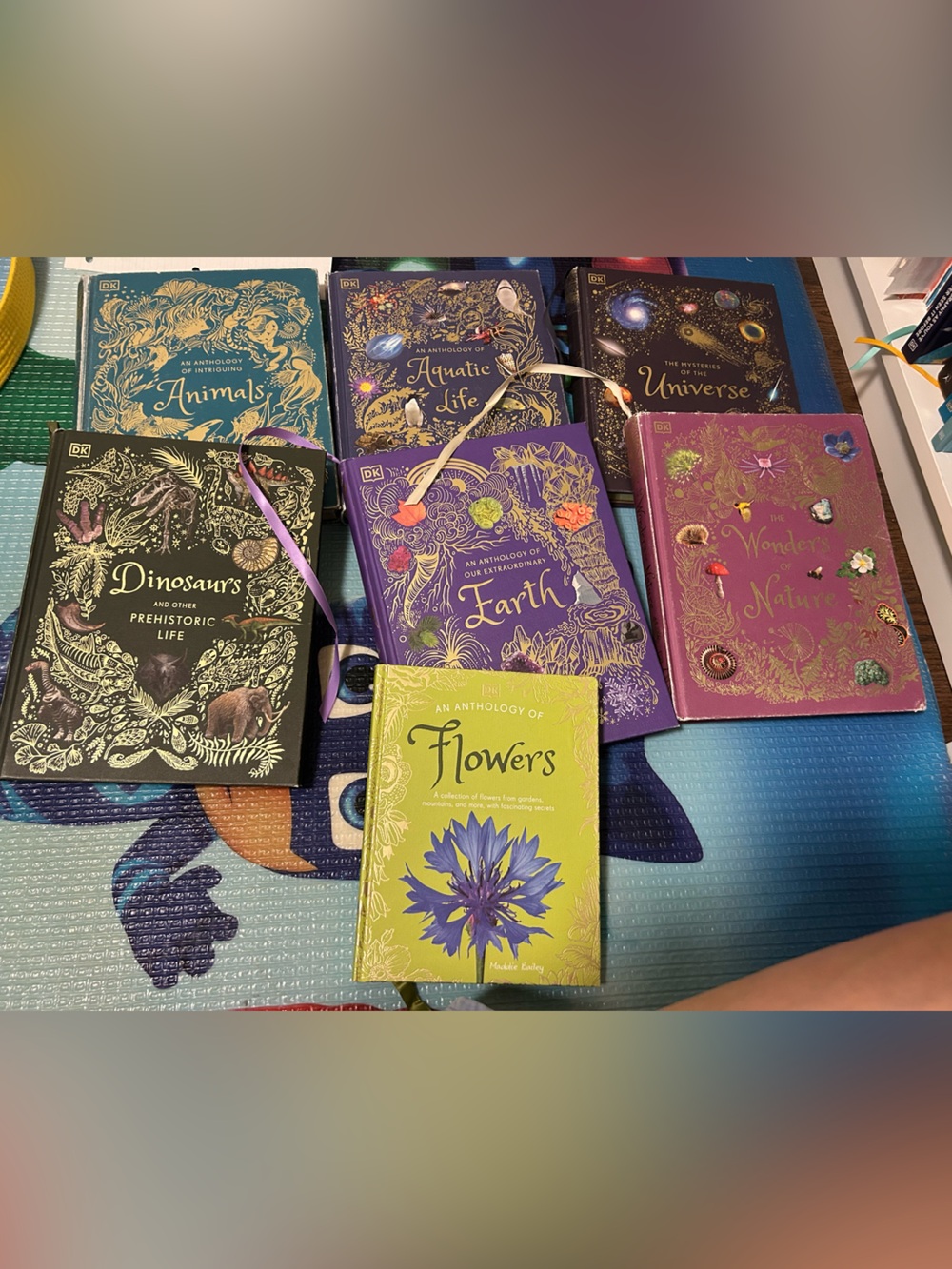 DK Illustrated Nature Hardcover Book Set - Vibrant Multi-Color Covers